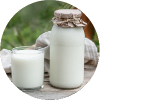How Godrej My Farm Maintains a Premium Standard of Milk Quality?